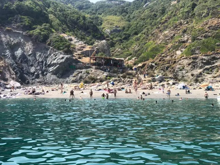 A beach between the cliffs and the pine forest